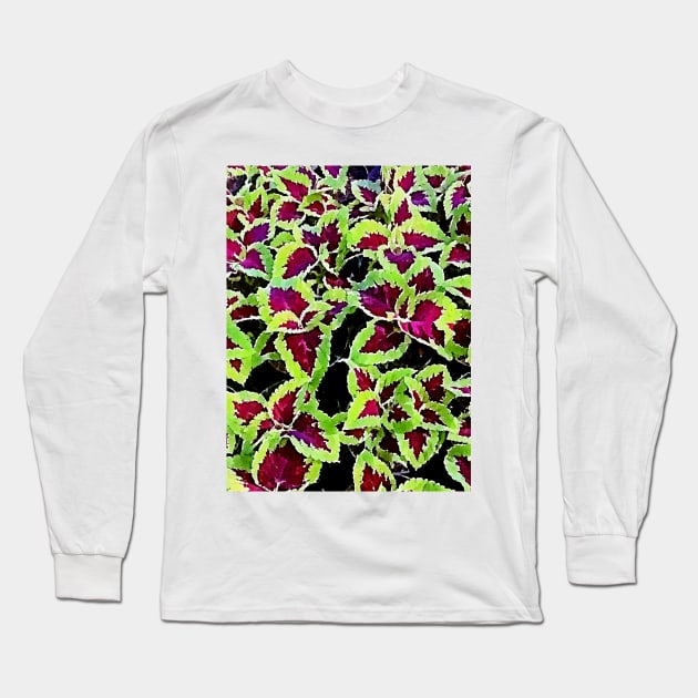 coleus leaves pattern Long Sleeve T-Shirt by Banyu_Urip